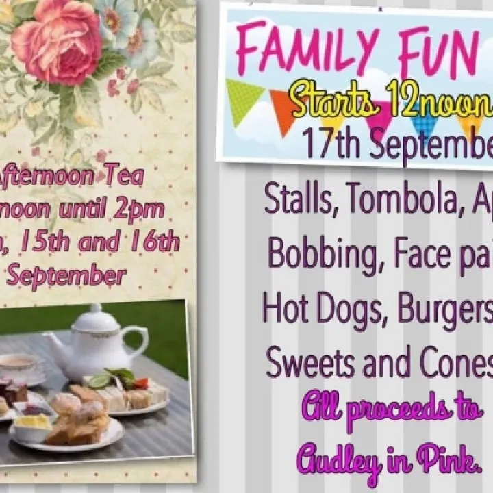 Halmer End Institute supporting Audley in Pink_B_160907