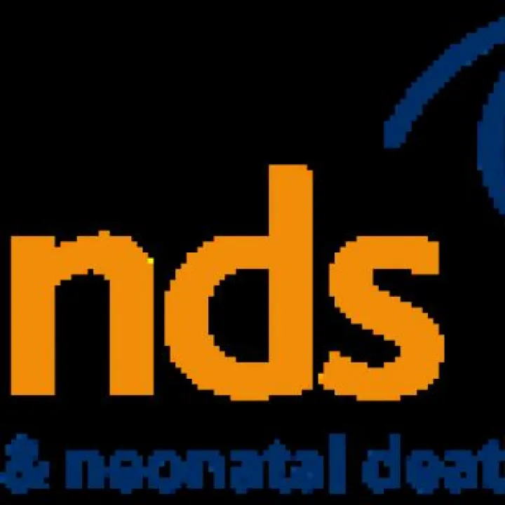 SANDS logo