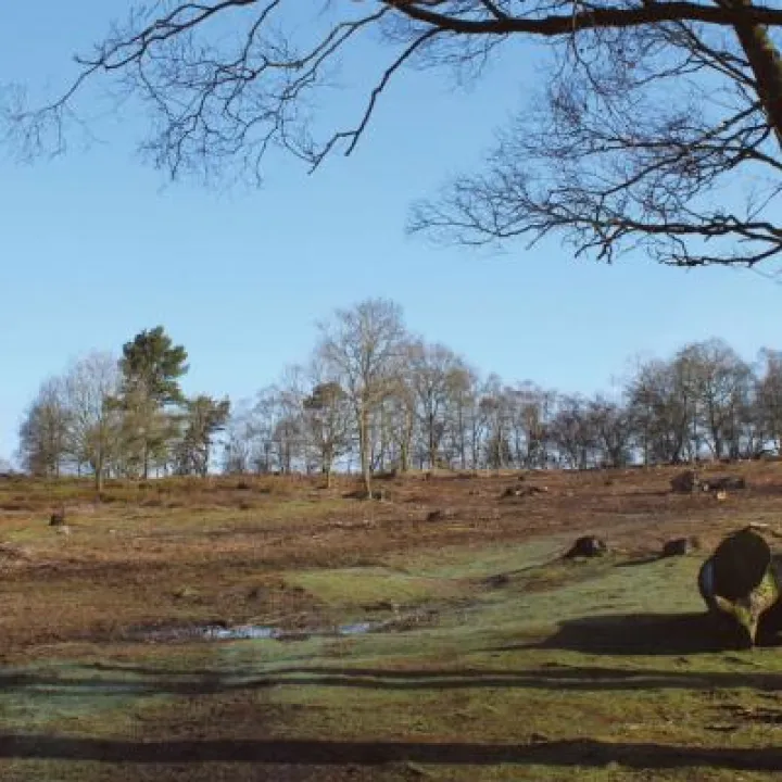 Bickerton Hill – before restoration