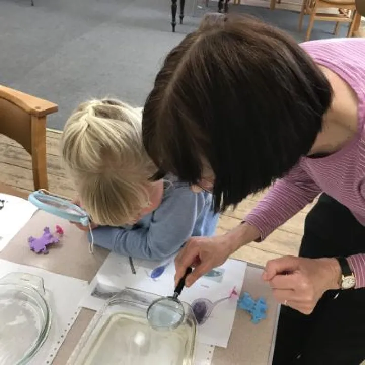 Looking for specimens 2