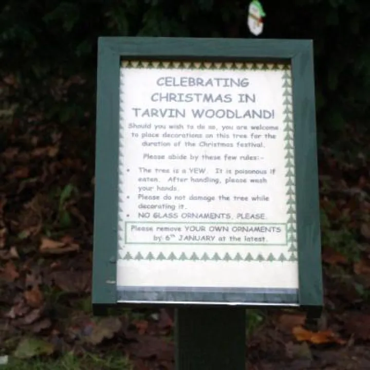 Christmas Tree Rules Sign