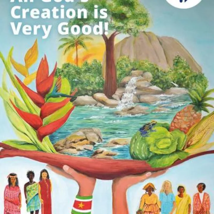 20229327_1513010975428173_8612172576352886526_n