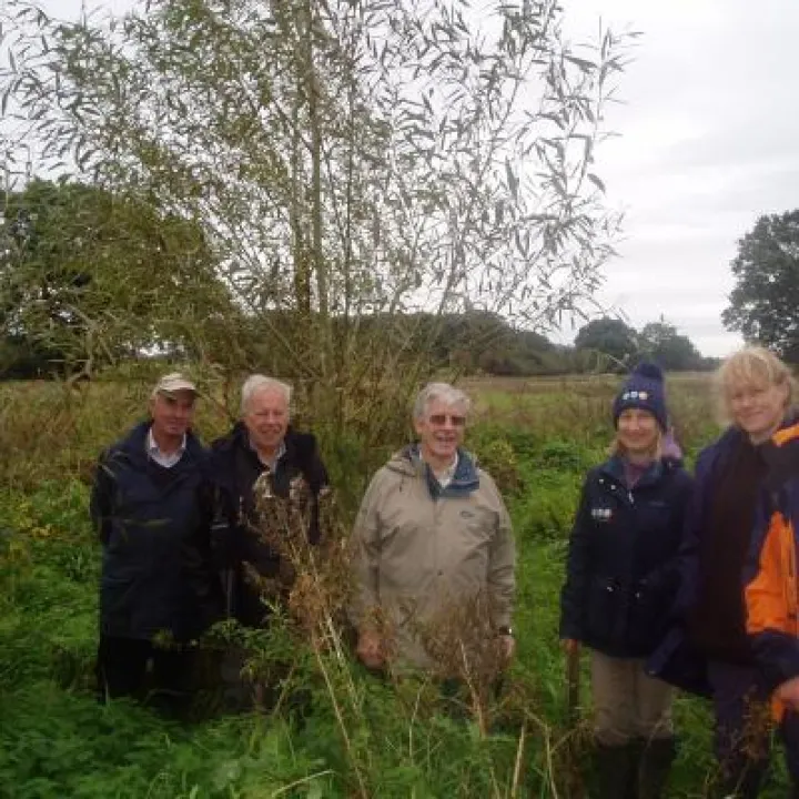 Mill Brook Flood Management