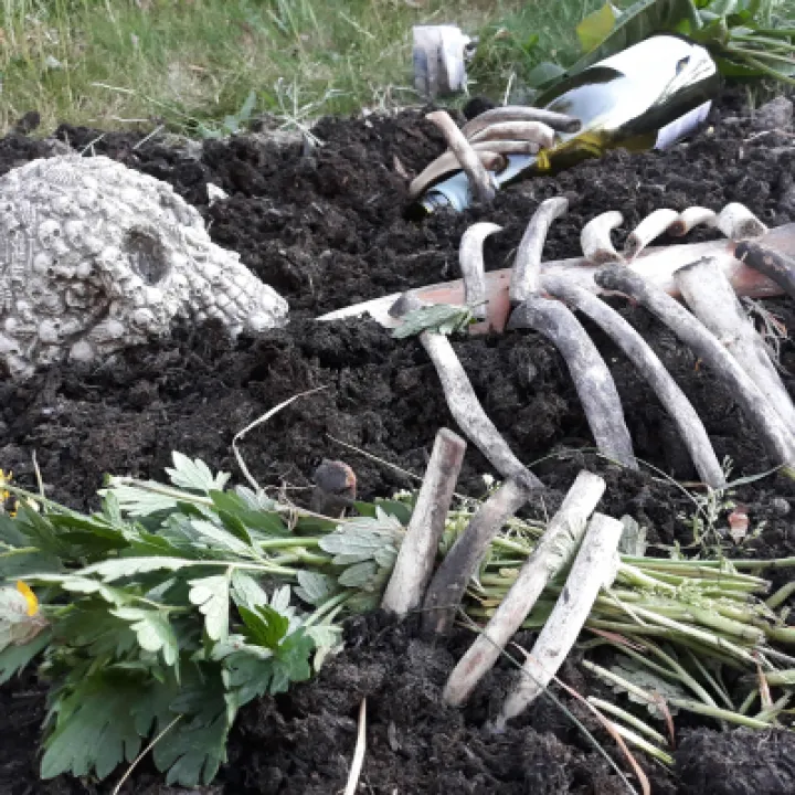 Image: 064 GuyRedshaw Scarecrow Thriller 02