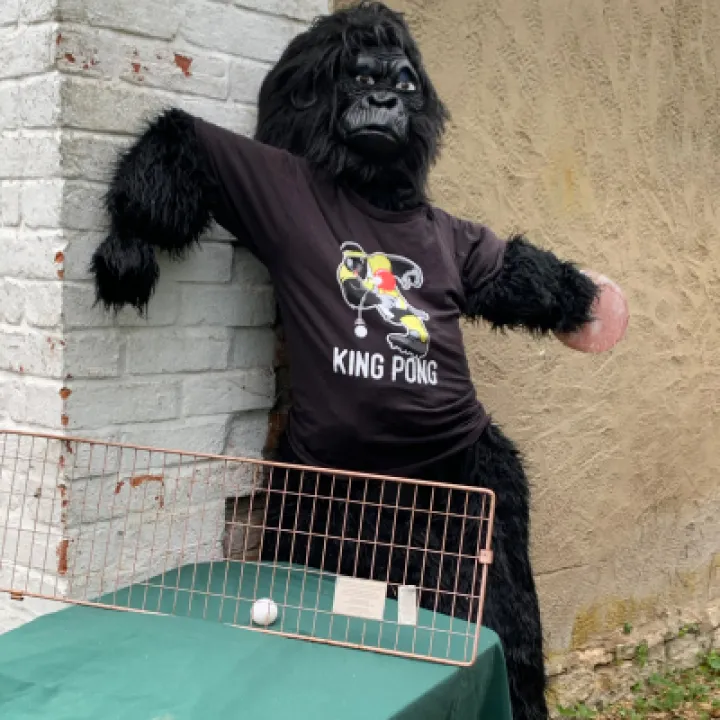 Image: 069 McLoughlin Family King Pong