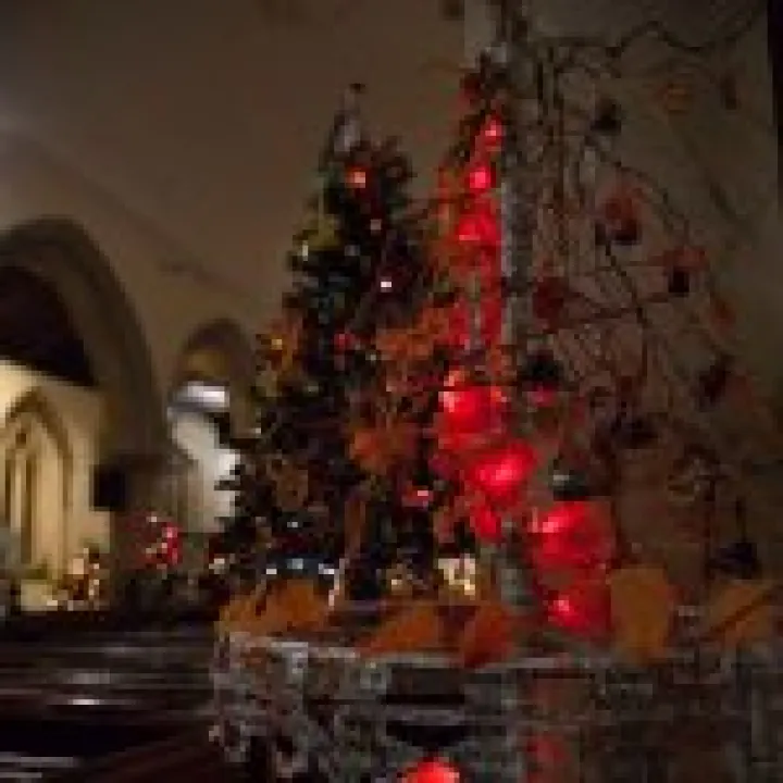 Christmas Tree Festival 03