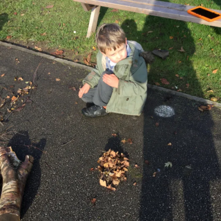 Image: 440DE037-31B7-4A7A-A274-F8DC263792AB