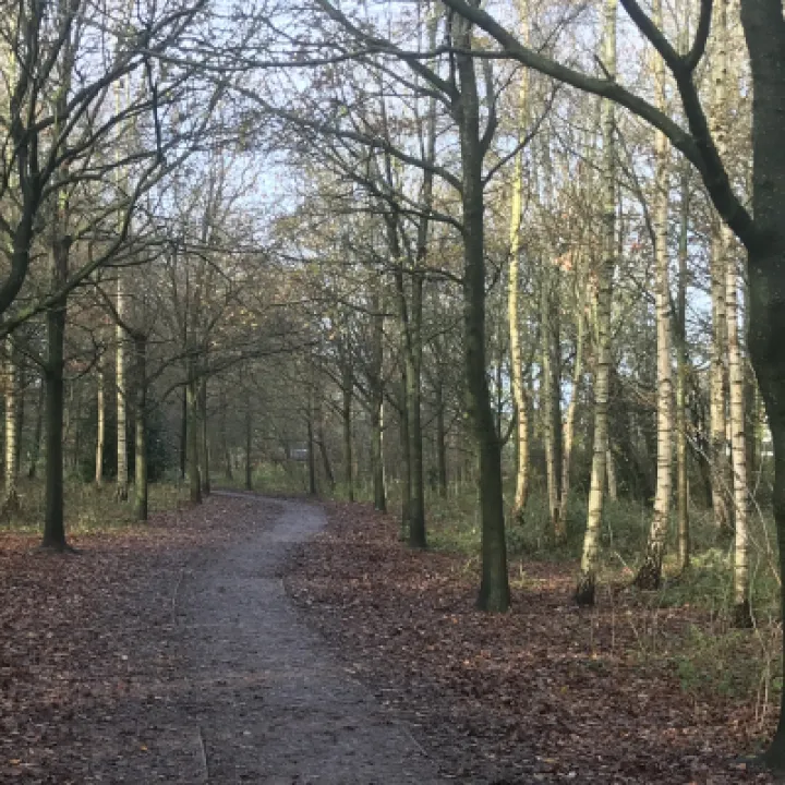 groans-walk-winter2020