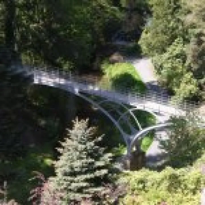 Northumbria 2009 087