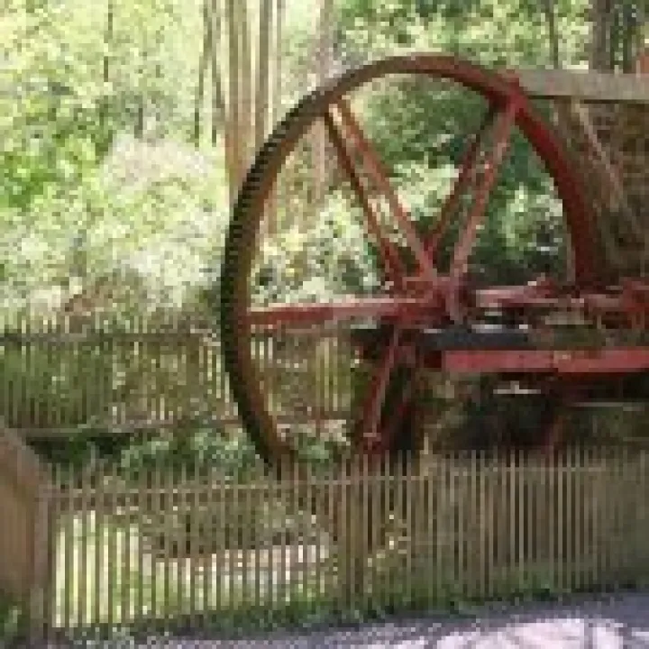 Northumbria 2009 079