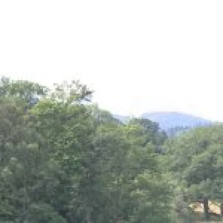 Canon 350D Feb2010 399