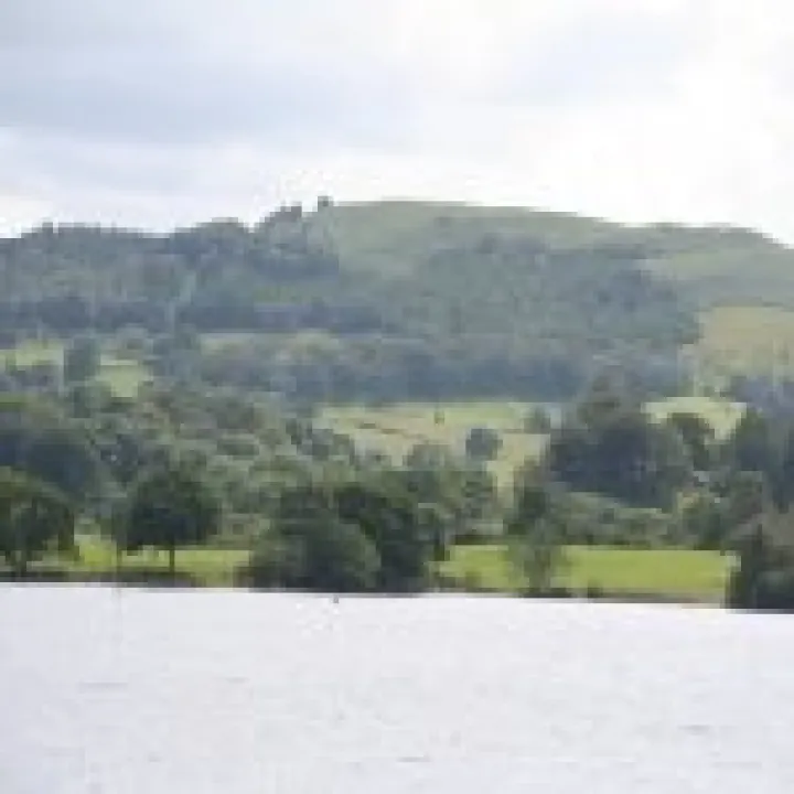 Canon 350D Feb2010 405