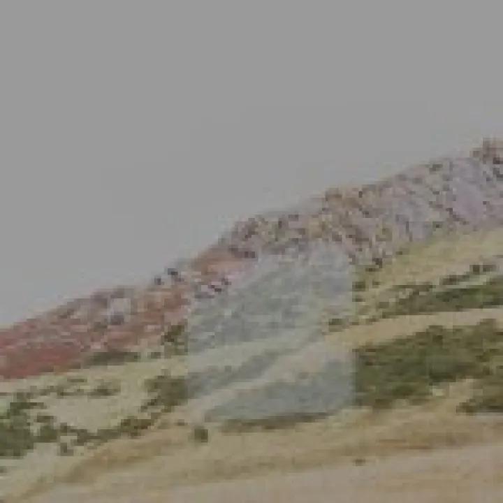 Canon 350D Feb2010 532