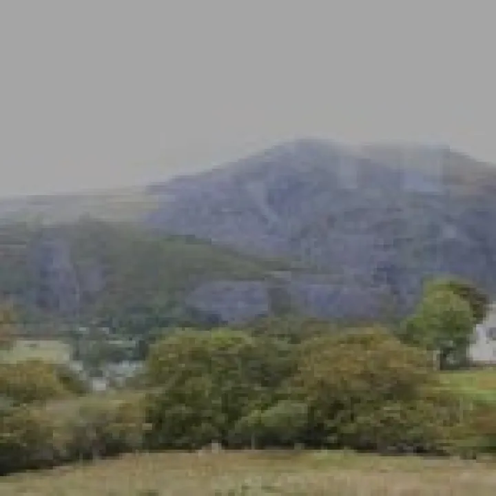 Canon 350D Feb2010 530