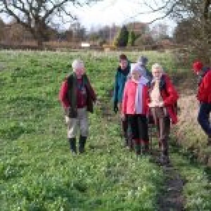 Canon 350D Feb2010 714