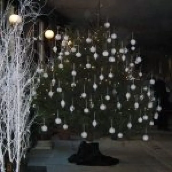 Chatsworth visit1208 005