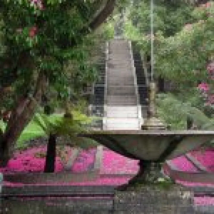 Holker Hall Visit 023