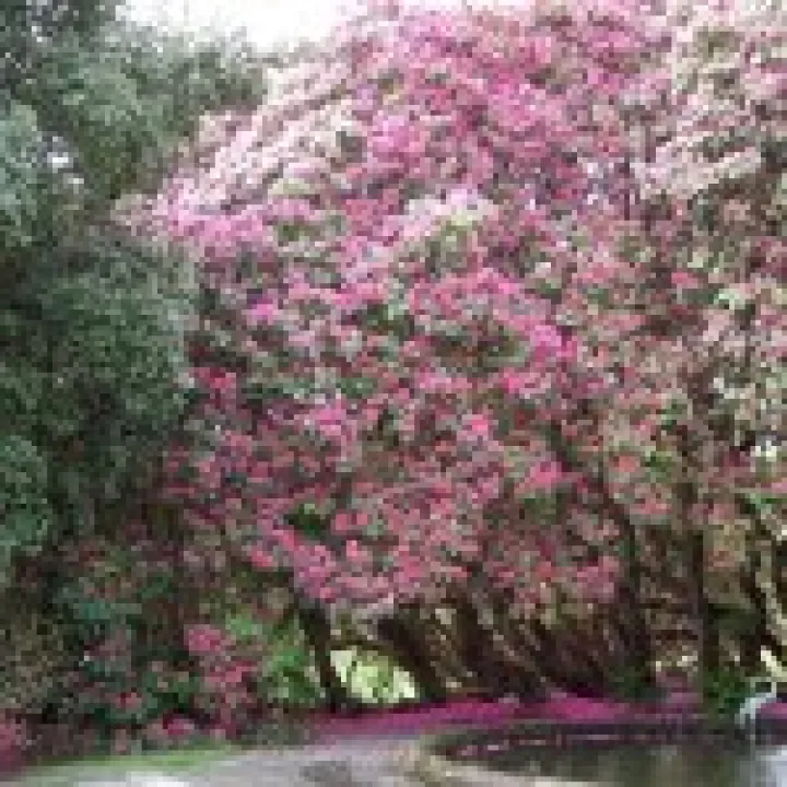 Holker Hall Visit 024