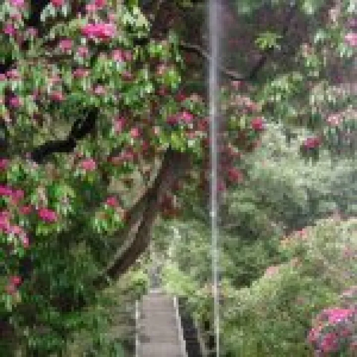 Holker Hall Visit 022