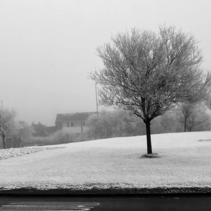 Winter scene