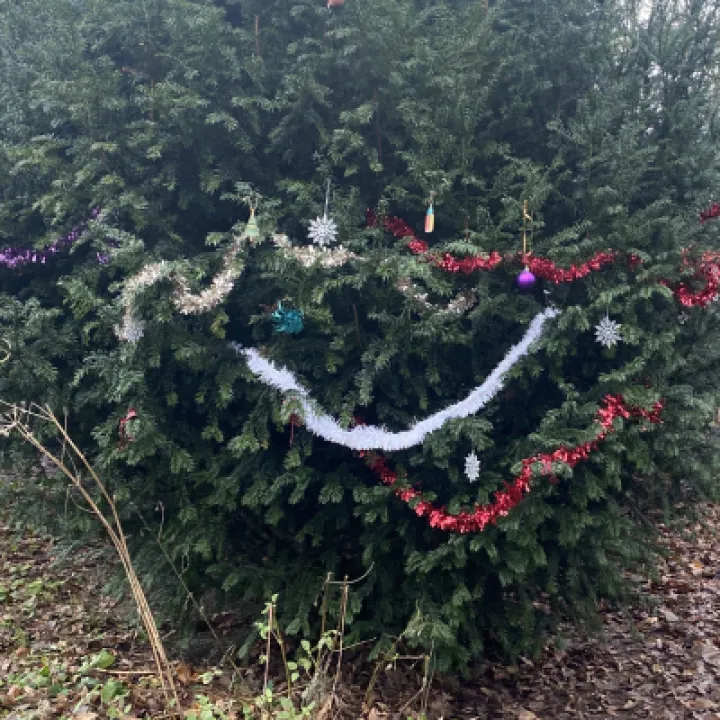 TWT Christmas tree 2021