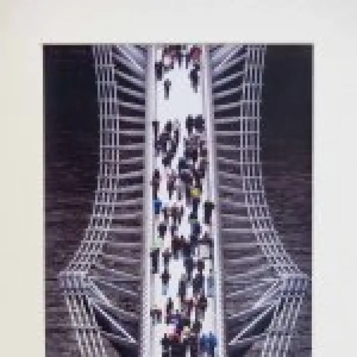 1st Prize: Intermediate (Age 11-13)