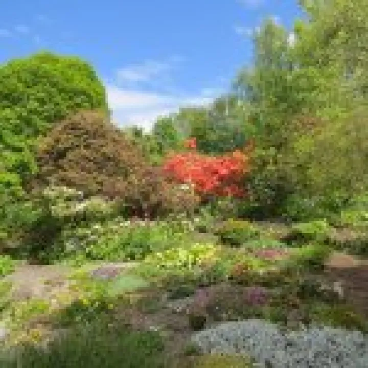 Branklyn Gardens jpg5