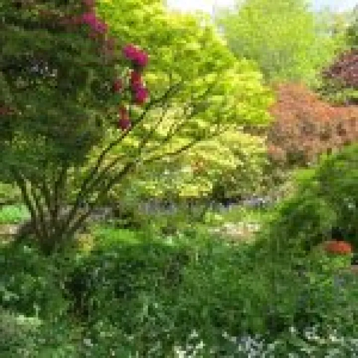 Branklyn Gardens jpg2