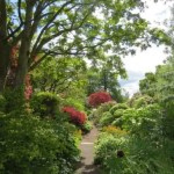 Branklyn Gardens jpg6