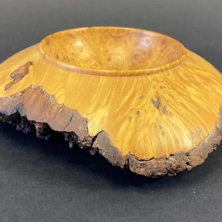 Tom malee burr no 2
