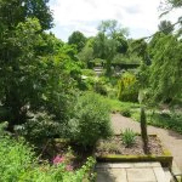 Ness Gardens jpg40