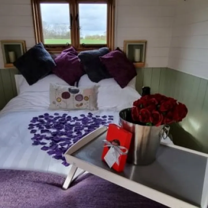 hodnet valentine (3)