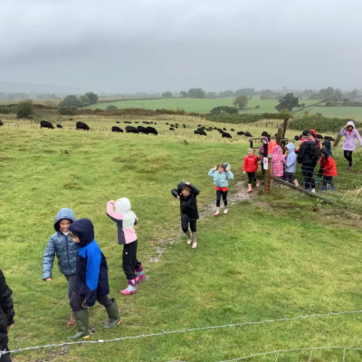 45C7B227-A406-43E1-8FB6-EE19891900D1