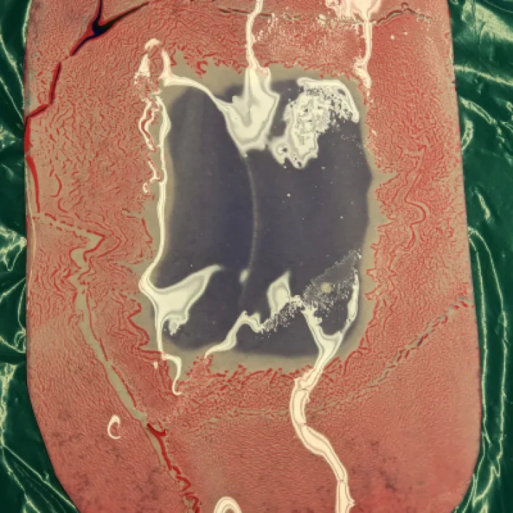 PXL_20230118_161651206