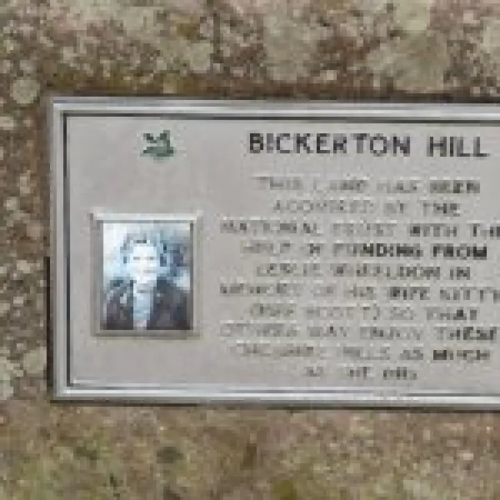Bickerton Hill