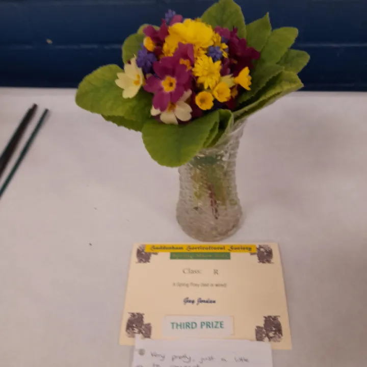 Image: 20230429 105305