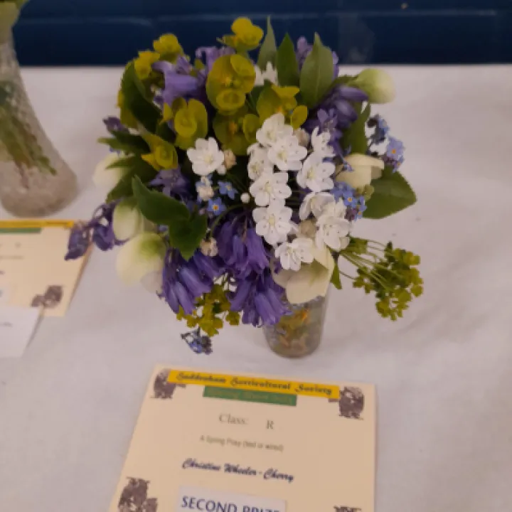 Image: 20230429 105311