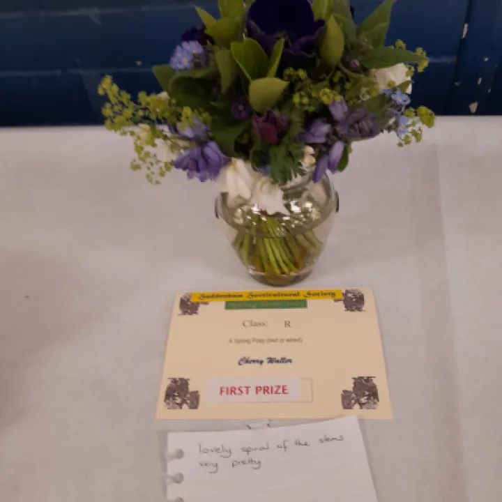 Image: 20230429 105329