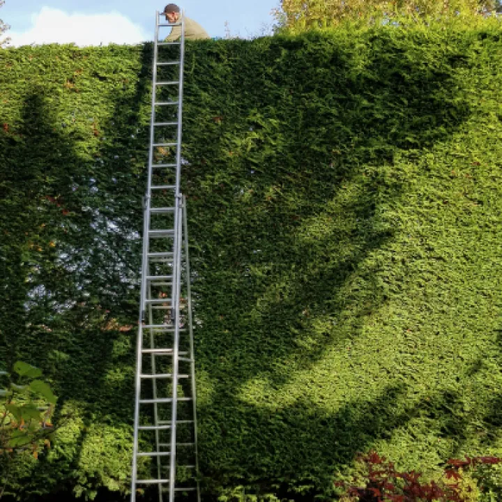 Image: 20221025 112716