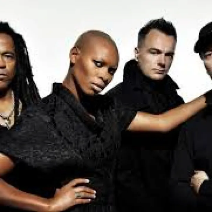 Skunk anansie