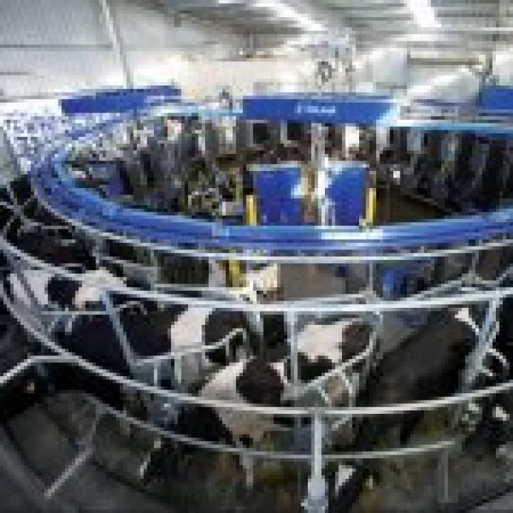 Robot Milking Parlour
