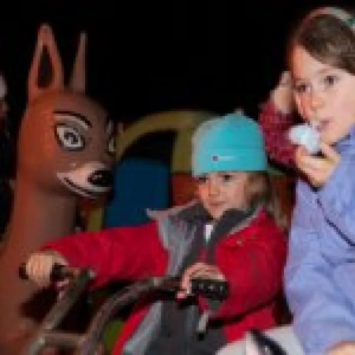 School Fireworks Night 08