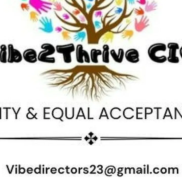 Vibe2thrive_241002