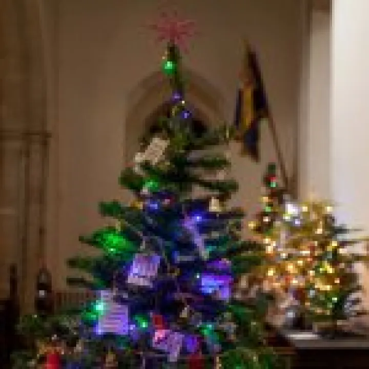 Xmas Tree Festival 04