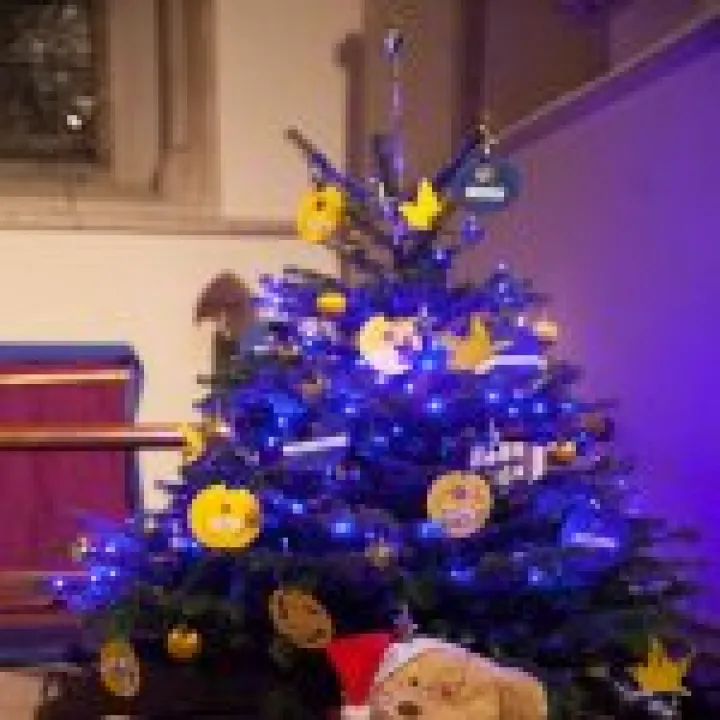 Xmas Tree Festival 07