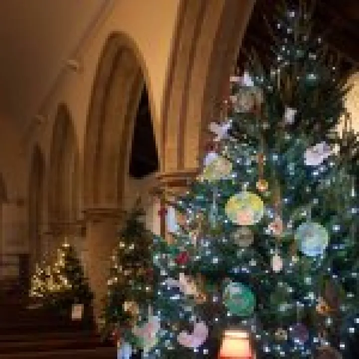 Xmas Tree Festival 08