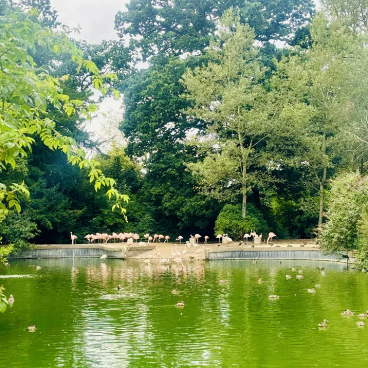 Junior 6-10yr_c_matilda-Flamin