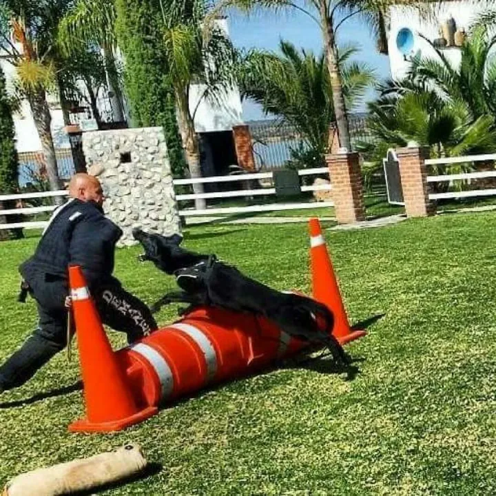 Whatsapp Image 2025-08-06 At 1