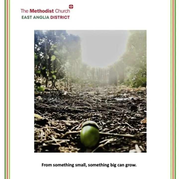 Grapevine Autumn 2025