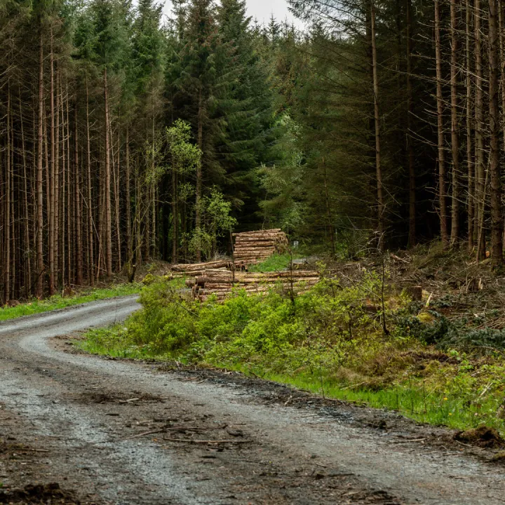 Home Page &ndash; About